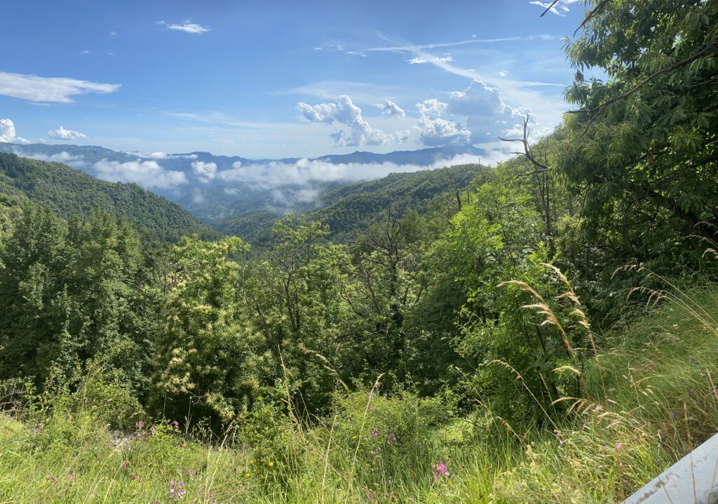 View of Montefegatesi